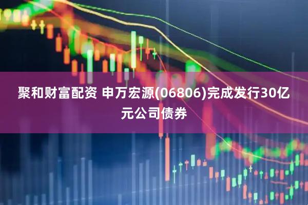 聚和财富配资 申万宏源(06806)完成发行30亿元公司债券
