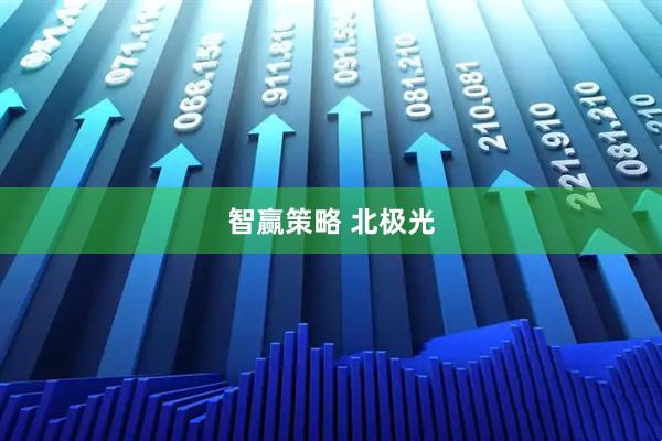 智赢策略 北极光