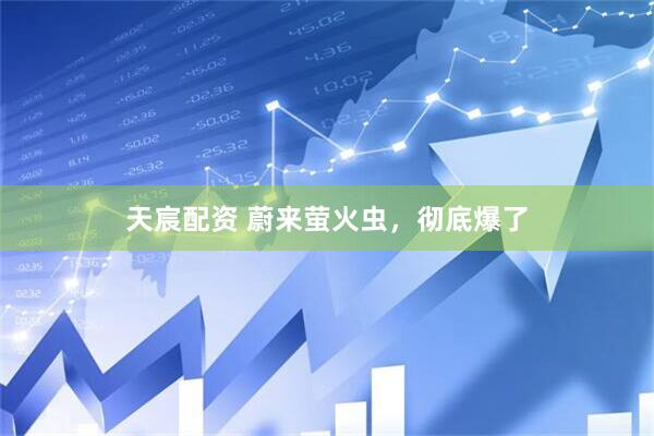 天宸配资 蔚来萤火虫，彻底爆了
